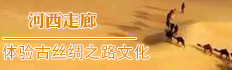 【河西走廊】走q河西走廊，探秘大柴旦火星景?